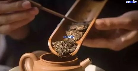 圆肉与茶叶同泡：功效及可否饮用解析