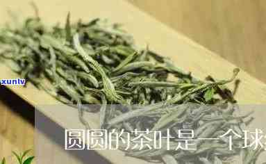 圆肉可以和茶叶一起泡吗，圆肉与茶叶能同泡吗？