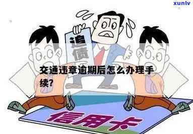 交通违法逾期怎么办手续？流程、办理全攻略