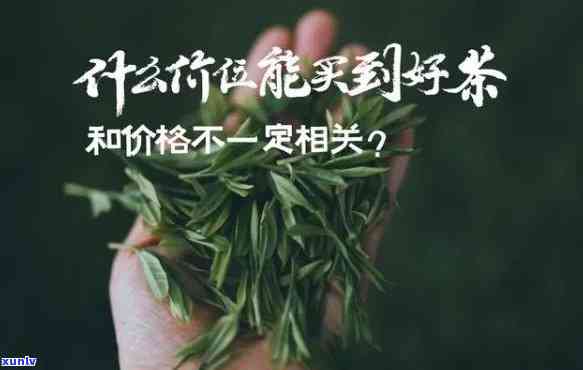 1000块钱一两的茶叶好不好，探讨万元一斤茶叶的品质与价值：1000块钱一两的茶叶是否值得购买？