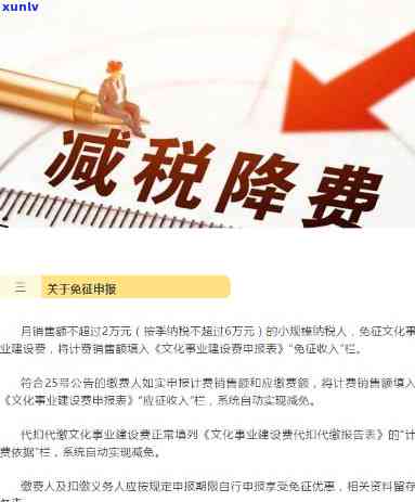 文化建设税怎么报，怎样申报文化建设税？一份详细指南