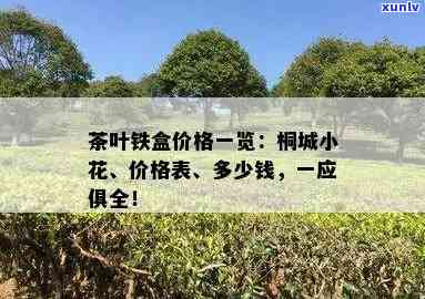 600元一斤的茶叶桐城小花：价格表与市场行情解析