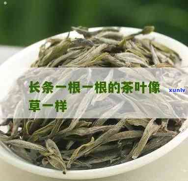 一根长长的茶叶叫什么，探秘茶叶世界：一根长长的是什么茶？