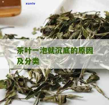 一开始就沉底的茶叶-一开始就沉底的茶叶好不好