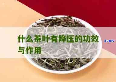 降压效果的茶叶-降压效果的茶叶是什么茶