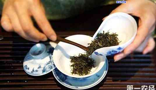 泡一壶茶放多少茶叶合适，泡一壶茶，怎样确定合适的茶叶用量？