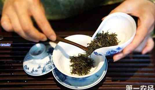 泡茶一杯放多少茶叶-泡茶一杯放多少茶叶合适