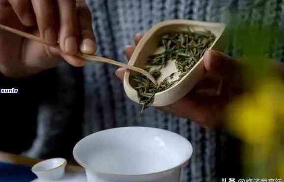 茶泡多久换茶叶？专业解答让您的茶更美味！