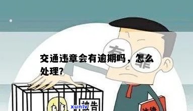 交通违规逾期未交款怎么办？怎样办理罚款缴纳手续？