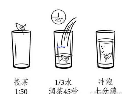 如何在纸杯中恰当地放入茶叶？——详细步骤及水量建议