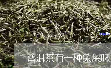 长得像兔子屎的茶叶叫什么，探秘茶叶世界：长得像兔子屎的是哪种茶？