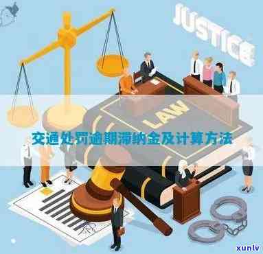 交通违法逾期滞纳金多少？怎样计算罚款与利息？