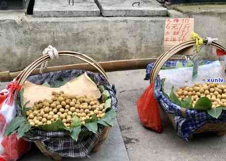 长得像兔子屎的茶叶-长得像兔子屎的茶叶叫什么