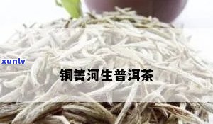 西双版纳铜箐河茶叶-西双版纳铜箐河茶叶厂