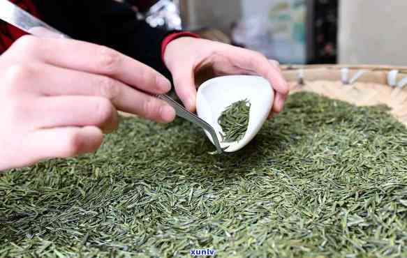 5000一斤的茶叶有哪些，探究价格高昂的茶叶品种：哪些茶能卖到每斤5000元以上？