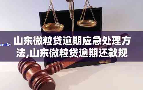 老班章普洱茶价格大全及解析：购买前你需要了解的一切信息