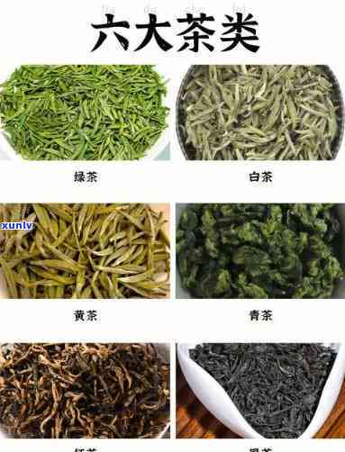 六大茶类的代表茶叶-六大茶类的代表茶叶有哪些