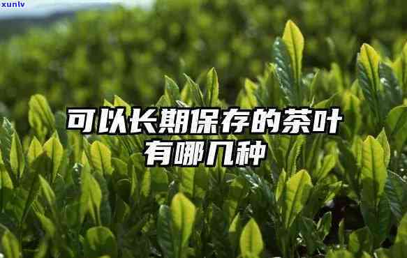 适合长期保存的茶叶-适合长期保存的茶叶有哪些