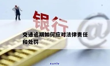 新翡翠麻花镯子：评估标准、市场价值与投资前景解析