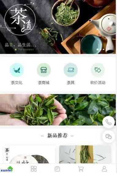 线上的茶叶-线上的茶叶是什么