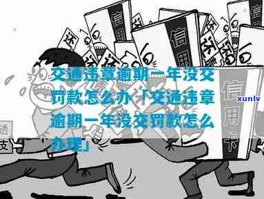 交通法逾期不交罚款-交通法逾期不交罚款会怎么样