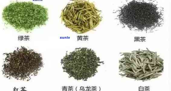 适合长时间泡的茶叶有哪些？品种、推荐