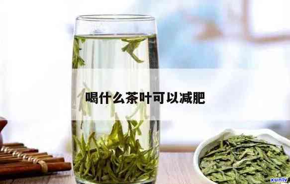 减肥能喝茶叶茶吗？探讨其对减重效果的影响