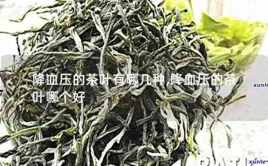 疏通血管降血压的茶叶：种类与功效全解析