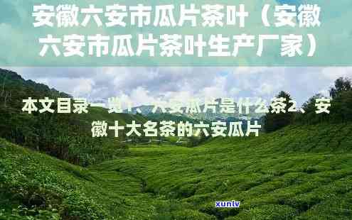 安徽六安市瓜片茶叶生产厂家：地址、 *** 全公开！