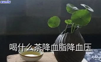 降血脂降血压的茶叶有哪些？有效推荐！