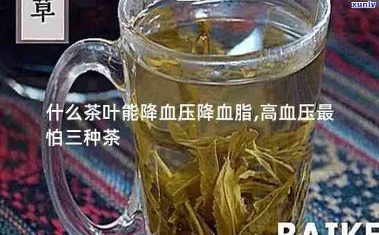 降血脂降血压的茶叶-降血脂降血压的茶叶有哪几种