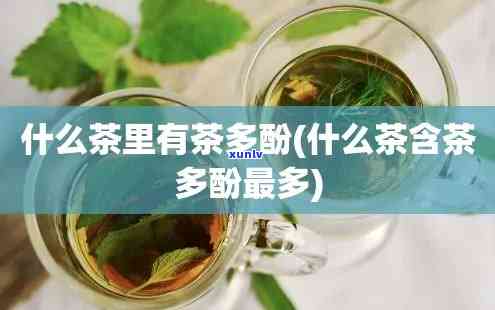 茶多酚含量高的茶叶排名，茶多酚之王：高含量茶叶排行榜