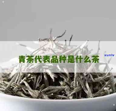 青茶都有哪几种，探秘青茶世界：了解常见的几种青茶品种