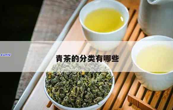 青茶包括哪几种茶叶-青茶包括哪几种茶叶类型