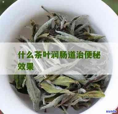 治便秘最有效的茶叶：哪些是最有效？