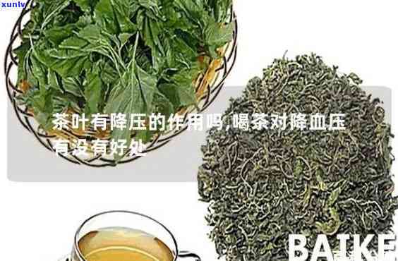 有没有降血压的茶叶-有没有降血压的茶叶?