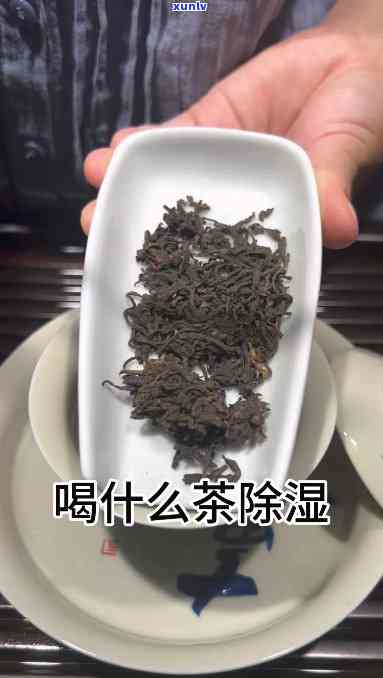 祛湿的茶叶有哪些，「祛湿茶叶」大揭秘：这些茶饮帮你轻松除湿！