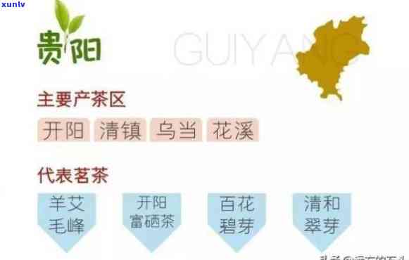 中国什么地方种茶叶多，揭秘中国茶叶种植分布：哪些地方是主要产区？