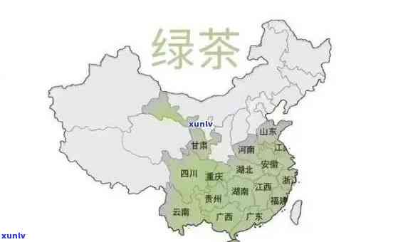 中国什么地方种茶叶多，揭秘中国茶叶种植分布：哪些地方是主要产区？