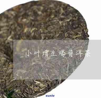 小叶增生不能喝茶叶水吗，小叶增生患者是否适合饮用茶叶水？