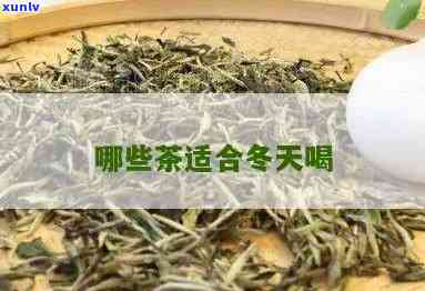 适合冬饮用的茶叶品种推荐