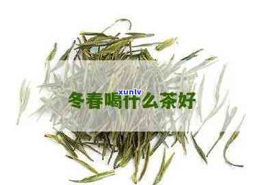 适合冬饮用的茶叶-适合冬饮用的茶叶有哪些