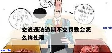 交通罚款逾期不交会有什么结果？无法准时缴纳该怎么办？