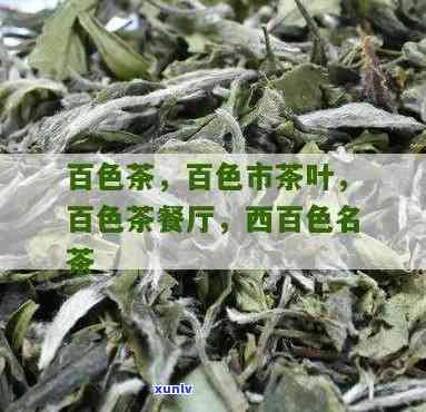 百色特产茶叶：种类与介绍