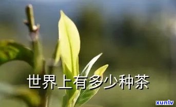 世界上有多少种茶叶-世界上有多少种茶叶名称