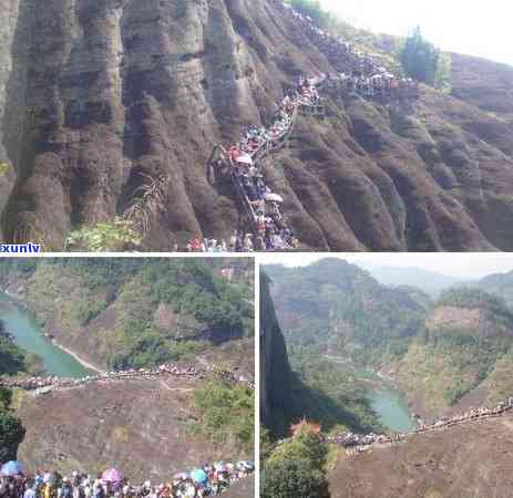 武夷山寻茶之旅，《探秘“碧水丹山”：武夷山寻茶之旅》