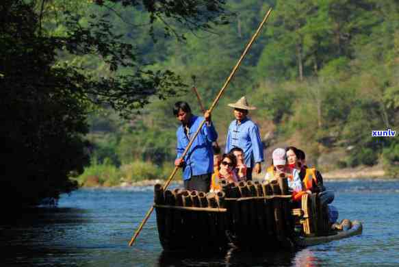 武夷山寻茶之旅，《探秘“碧水丹山”：武夷山寻茶之旅》