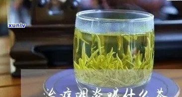 治疗慢性咽炎的茶叶叫什么？——探索有效缓解咽喉不适的茶饮选择