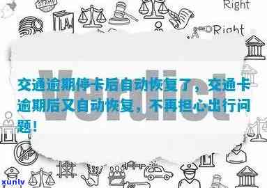 交通逾期停卡后自动恢复了，交通卡逾期未还款，竟然自动恢复了？！