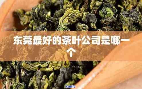 东莞产茶叶吗，揭秘：东莞是否生产茶叶？